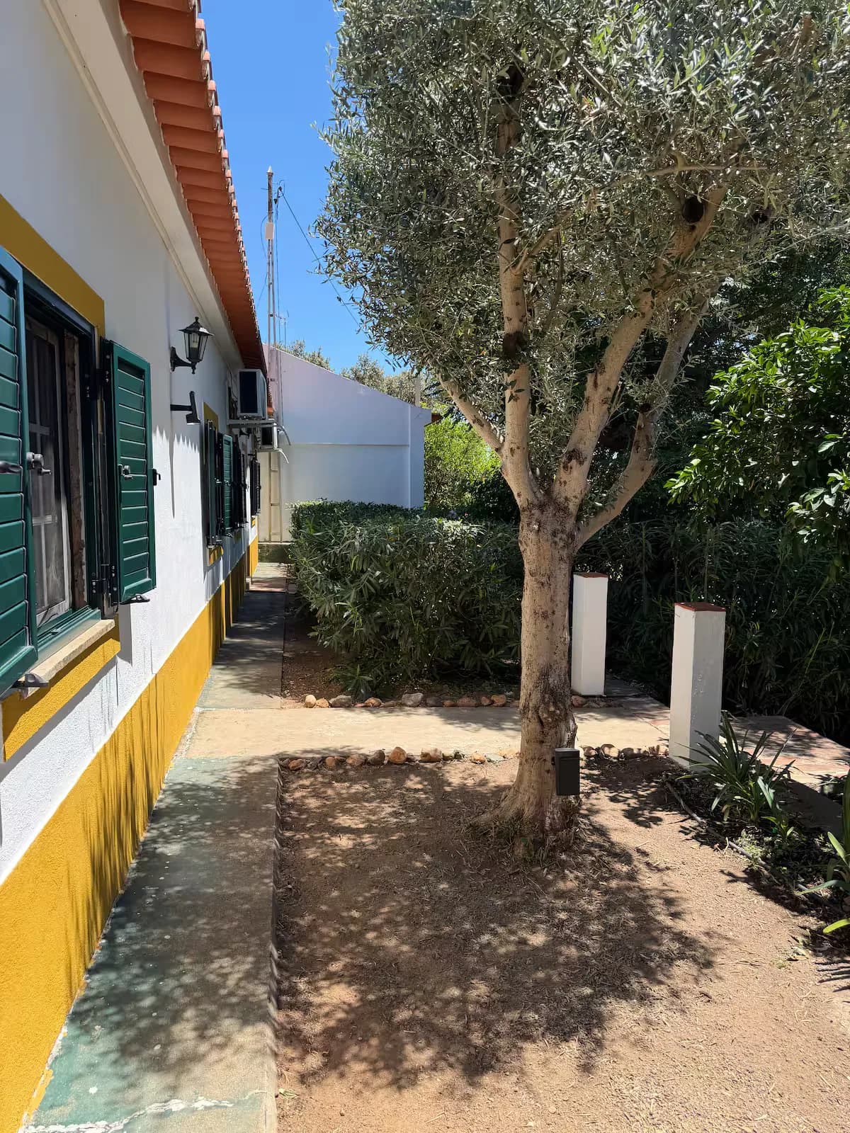 Fachada da casa junto a uma oliveira antiga