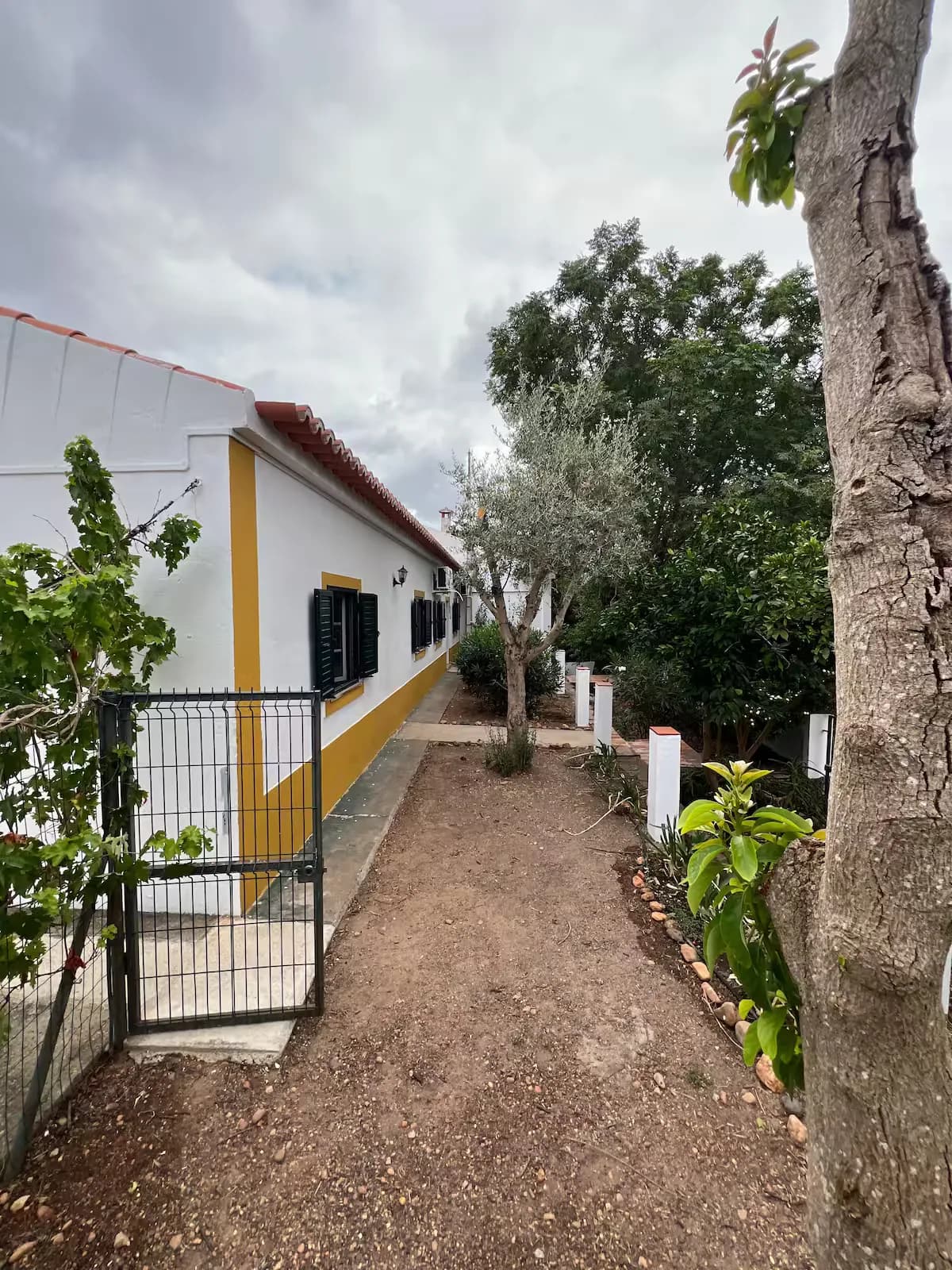 Hall de entrada com porta verde e consola de madeira